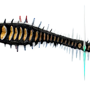 Fossil Record Timeline PNG 05242024