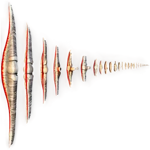 Fossil Record Timeline PNG 51