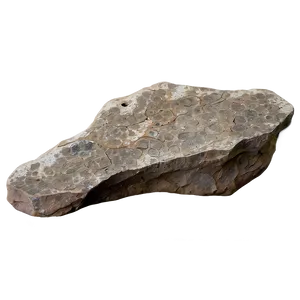Fossil Rocks Png Jgx76 PNG image