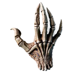 Fossilized Dino Claws Png Scb PNG image