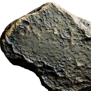 Fossilized Rock Discovery Png Sya PNG image