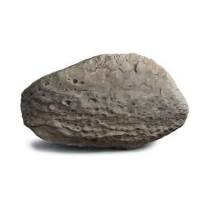 Fossilized Rock Discovery PNG Xdl