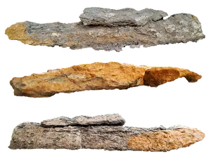 Fossilized Wood Specimens PNG image