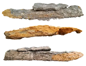 Fossilized Wood Specimens PNG image