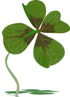 Four Leaf Clover Illustration PNG image