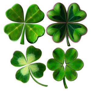 Four Leaf Clover Set PNG 78 PNG
