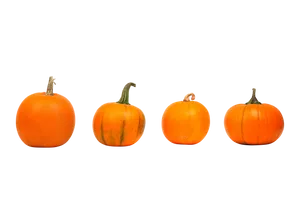 Four Orange Pumpkins Black Background PNG image