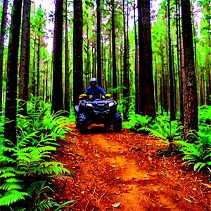 Four Wheeler Forest Trail Png Xxe14 PNG image