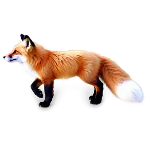 Fox Tail C PNG image