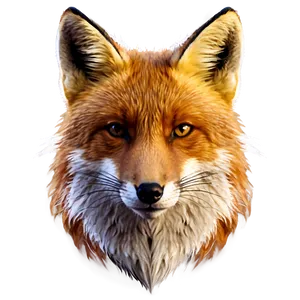 Fox Vector Png Gii97 PNG image