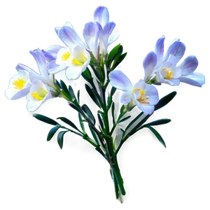 Fragrant Freesia PNG 57 PNG