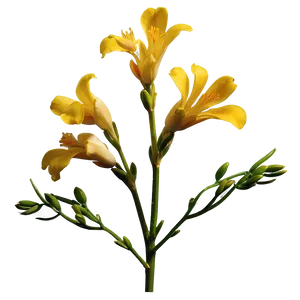 Fragrant Freesia PNG 75 PNG