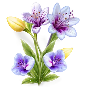 Fragrant Spring Flower Png Ccc53 PNG image