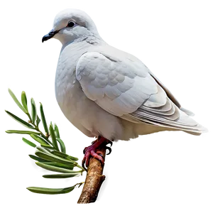 Free Dove Clipart PNG 06262024