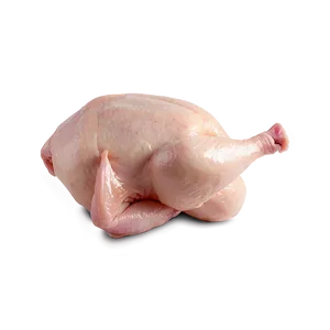 Free Range Raw Chicken Png 78 PNG image