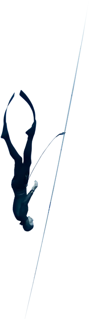 Freefall Diver Descent.jpg PNG image