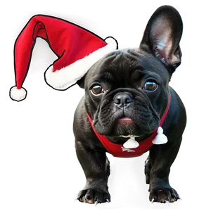 French Bulldog Christmas Png Coj52 PNG image