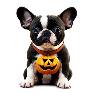 French Bulldog Halloween PNG 71 PNG