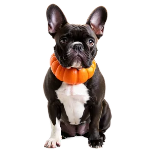 French Bulldog Halloween PNG Upm14 PNG