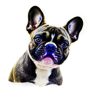 French Bulldog Head PNG 06212024 PNG
