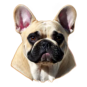 French Bulldog Illustration PNG 82 PNG