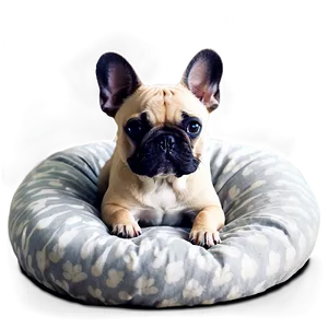 French Bulldog In Bed Png 77 PNG image