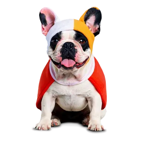 French Bulldog In Costume Png 9 PNG image