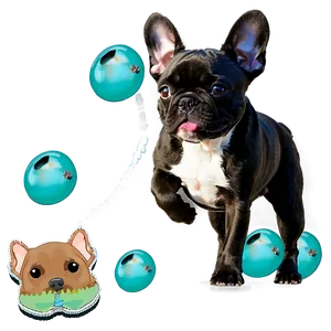 French Bulldog Playing Png Rgw71 PNG image