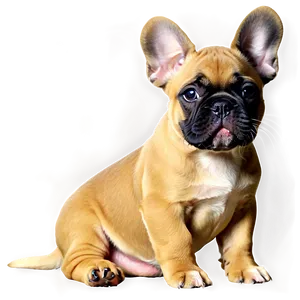 French Bulldog Puppy PNG Dsu68 PNG