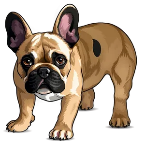 French Bulldog Vector PNG 75
