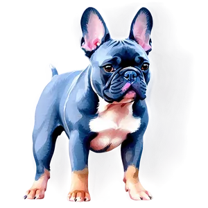 French Bulldog Watercolor PNG Yrx