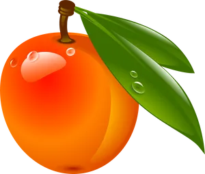Fresh Apricot With Dew Drops PNG image