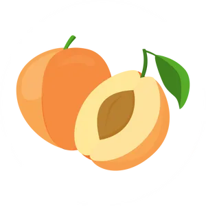 Fresh Apricotand Half Cut Vector PNG image