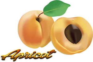 Fresh Apricotand Halfwith Seed PNG image