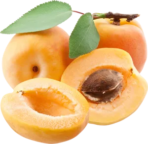 Fresh Apricots Display PNG image