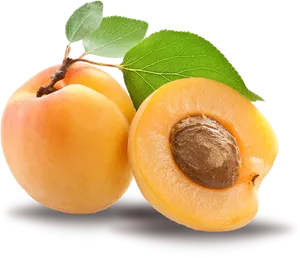 Fresh Apricots With Leaf PNG image