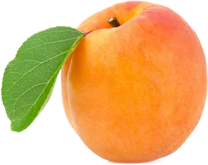 Fresh Apricotwith Leaf PNG image
