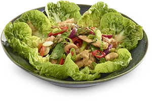 Fresh Asian Chicken Salad PNG image