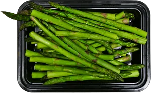 Fresh Asparagus Bunch Container PNG