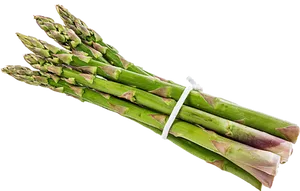 Fresh Asparagus Bunch PNG image