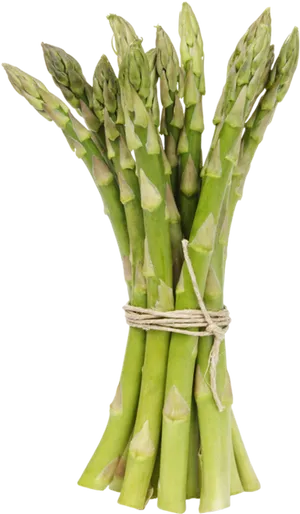 Fresh Asparagus Bunch.png PNG