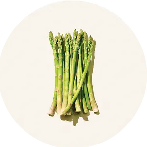 Fresh Asparagus Bunch Top View PNG