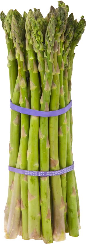 Fresh Asparagus Bundle.png PNG image