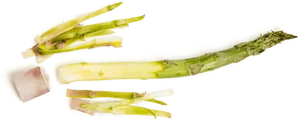 Fresh Asparagus Stalks Transparent Background PNG