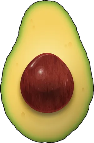 Fresh Avocado Half Illustration PNG image