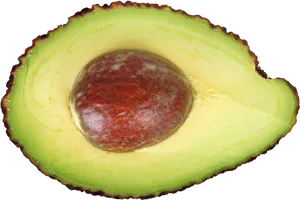 Fresh Avocado Half Seed Visible.png PNG image