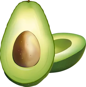 Fresh Avocado Halved Illustration PNG image