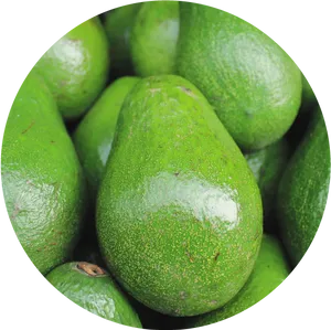 Fresh Avocado Pile Closeup.jpg PNG image