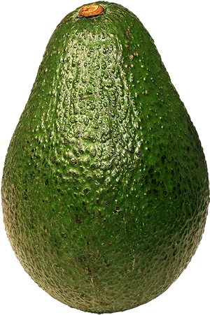 Fresh Avocado Single Fruit