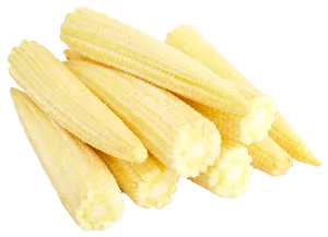 Fresh Baby Corn Isolatedon Background PNG image